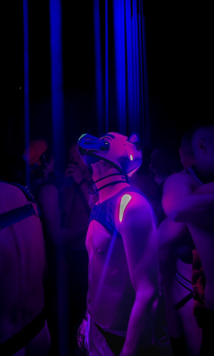 Aur3nW0lf's tweet photo. --- Vibing on the dance floor ---

#puppy #puppyplay #darklands #rave #fetish #vibing #gear https://t.co/z1XzgliVQV