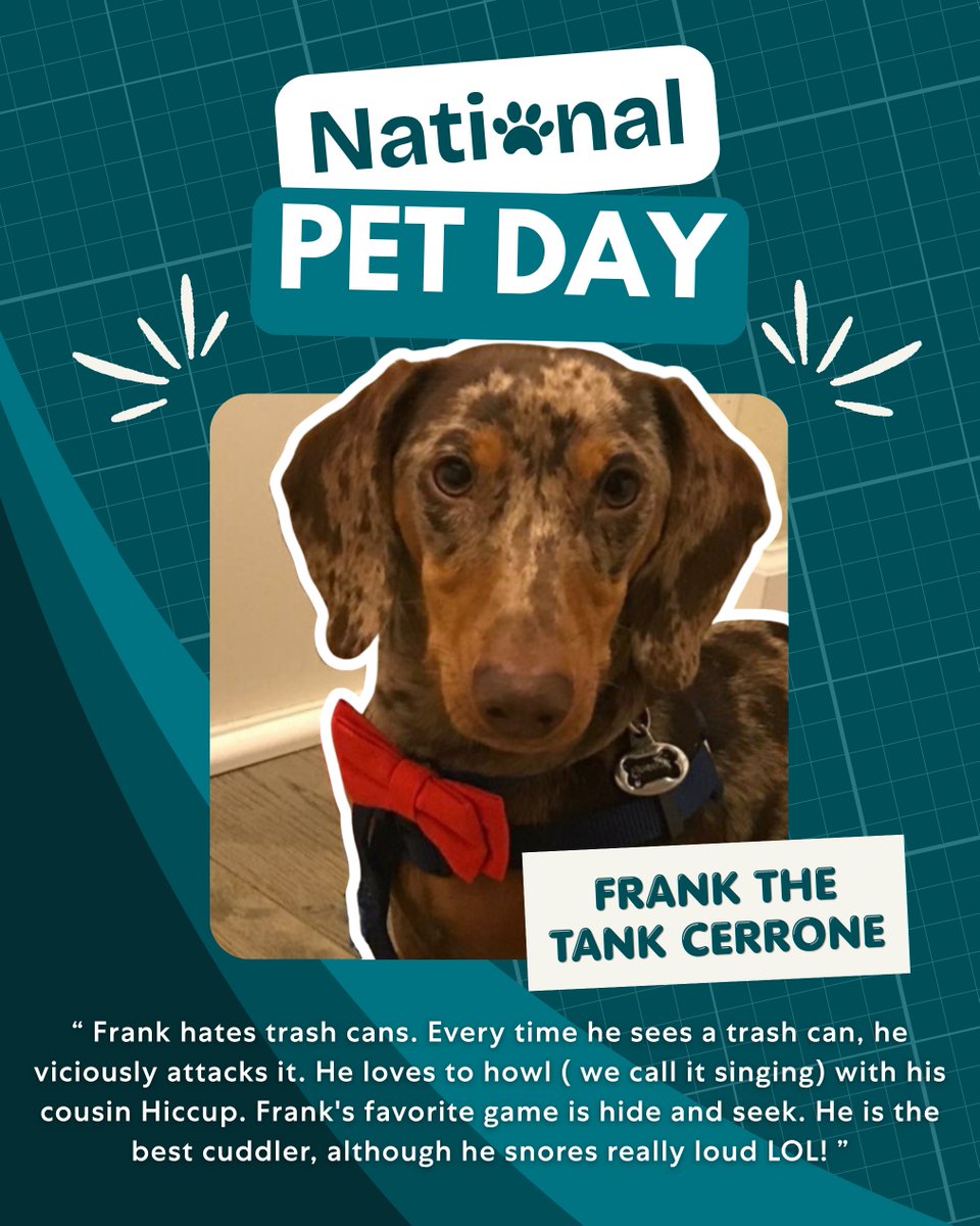 Epic Nurse Staffing tweet media