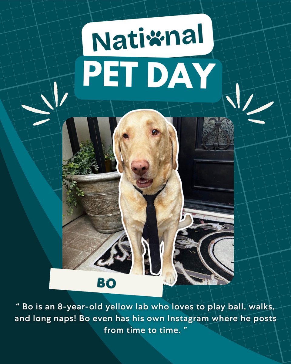 Epic Nurse Staffing tweet media