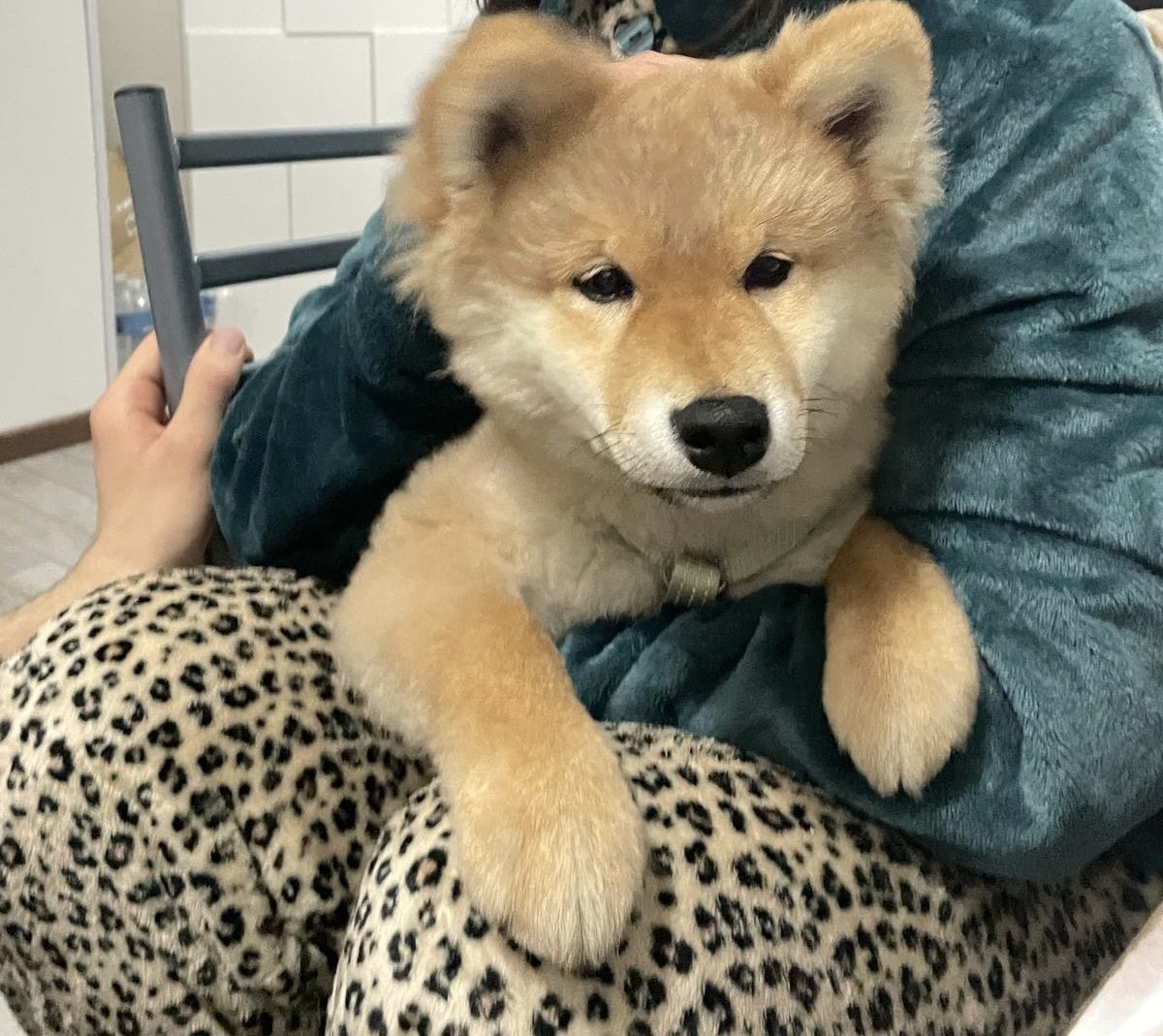 E io ti amo da impazzire