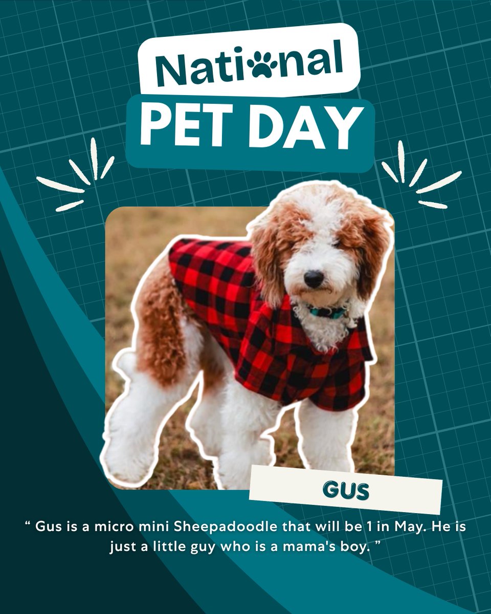 Epic Nurse Staffing tweet media