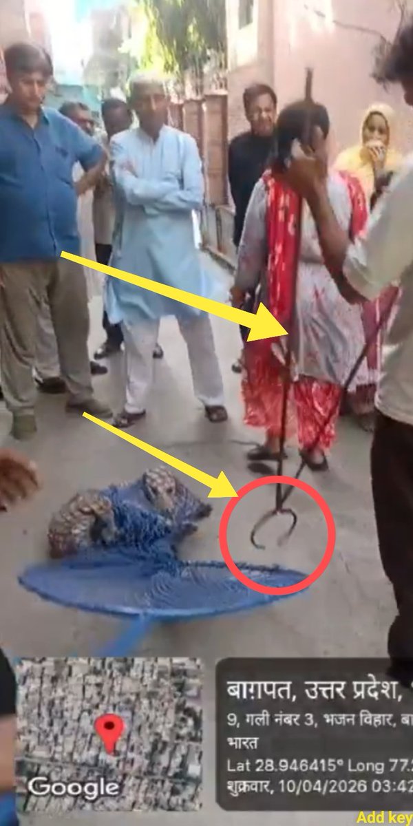 Ajay Joe tweet media