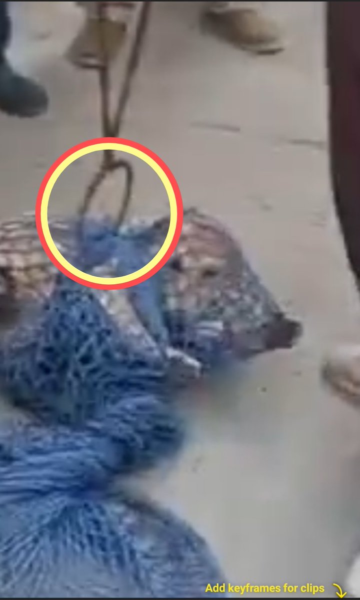 Ajay Joe tweet media