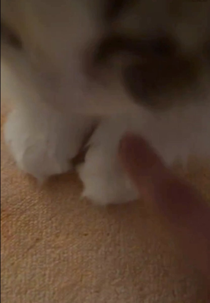 땡구라미 tweet media