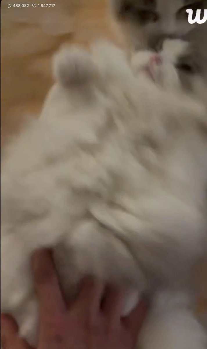 땡구라미 tweet media