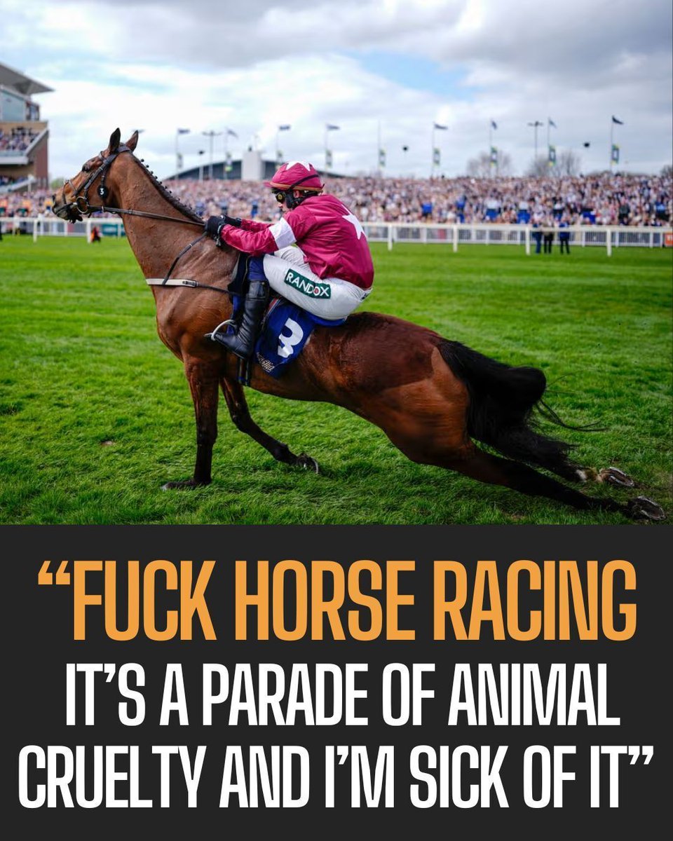 Protect the Wild tweet media