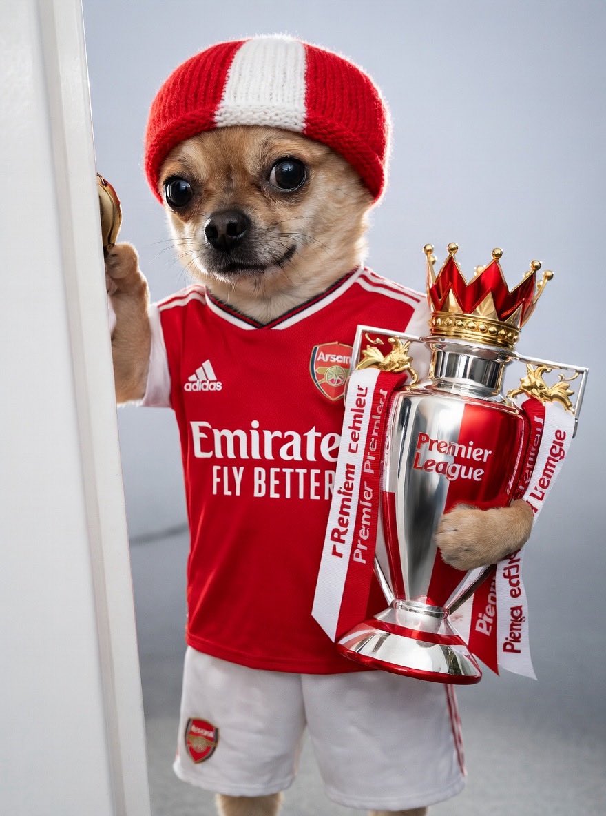 Sheysman Arsenal 🔴⚪ tweet media