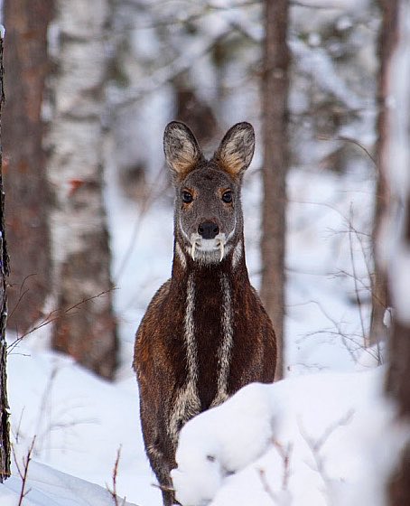 James R Us tweet media