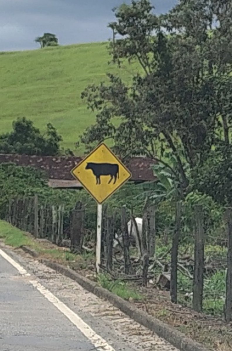 Vidalsolus's tweet image. Most people here (Espírito Santo, Brasil) cut down trees to create pastureland...CH4 is everywhere!!!