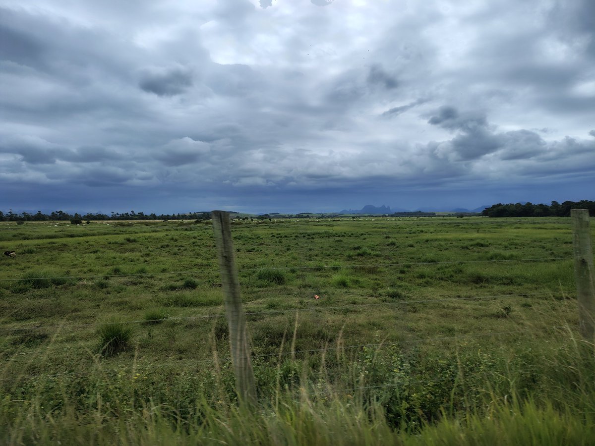 Vidalsolus's tweet image. Most people here (Espírito Santo, Brasil) cut down trees to create pastureland...CH4 is everywhere!!!