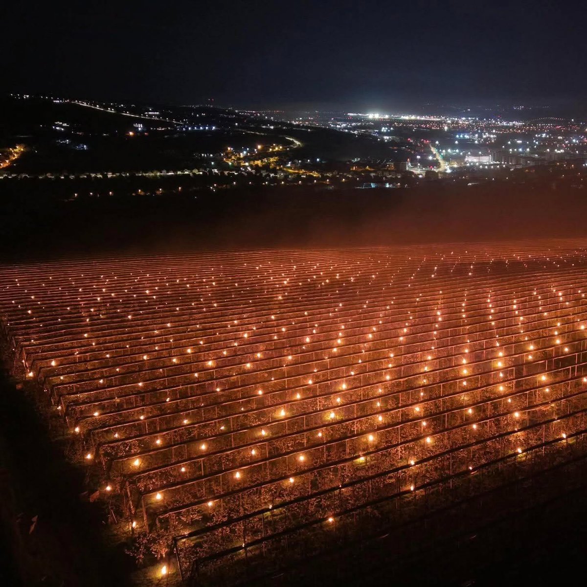 Iurie-Emanuel B.🙋🎩 tweet media