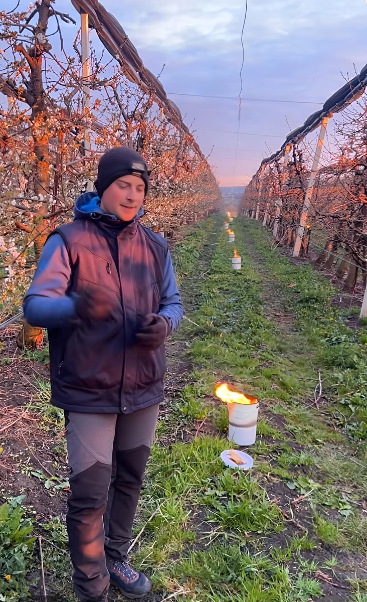 Iurie-Emanuel B.🙋🎩 tweet media