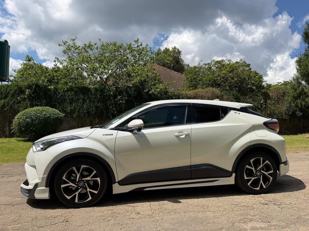 WekwaGUTU🍺 tweet media