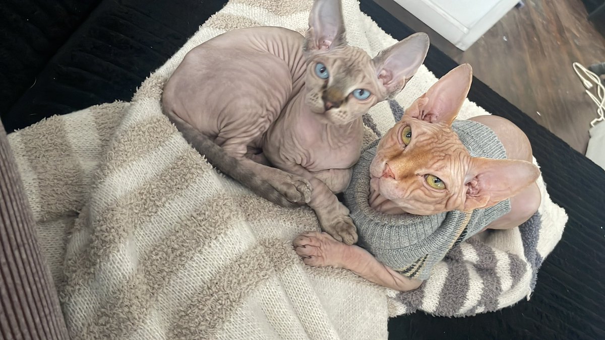 Bonita 👸🏽 tweet media