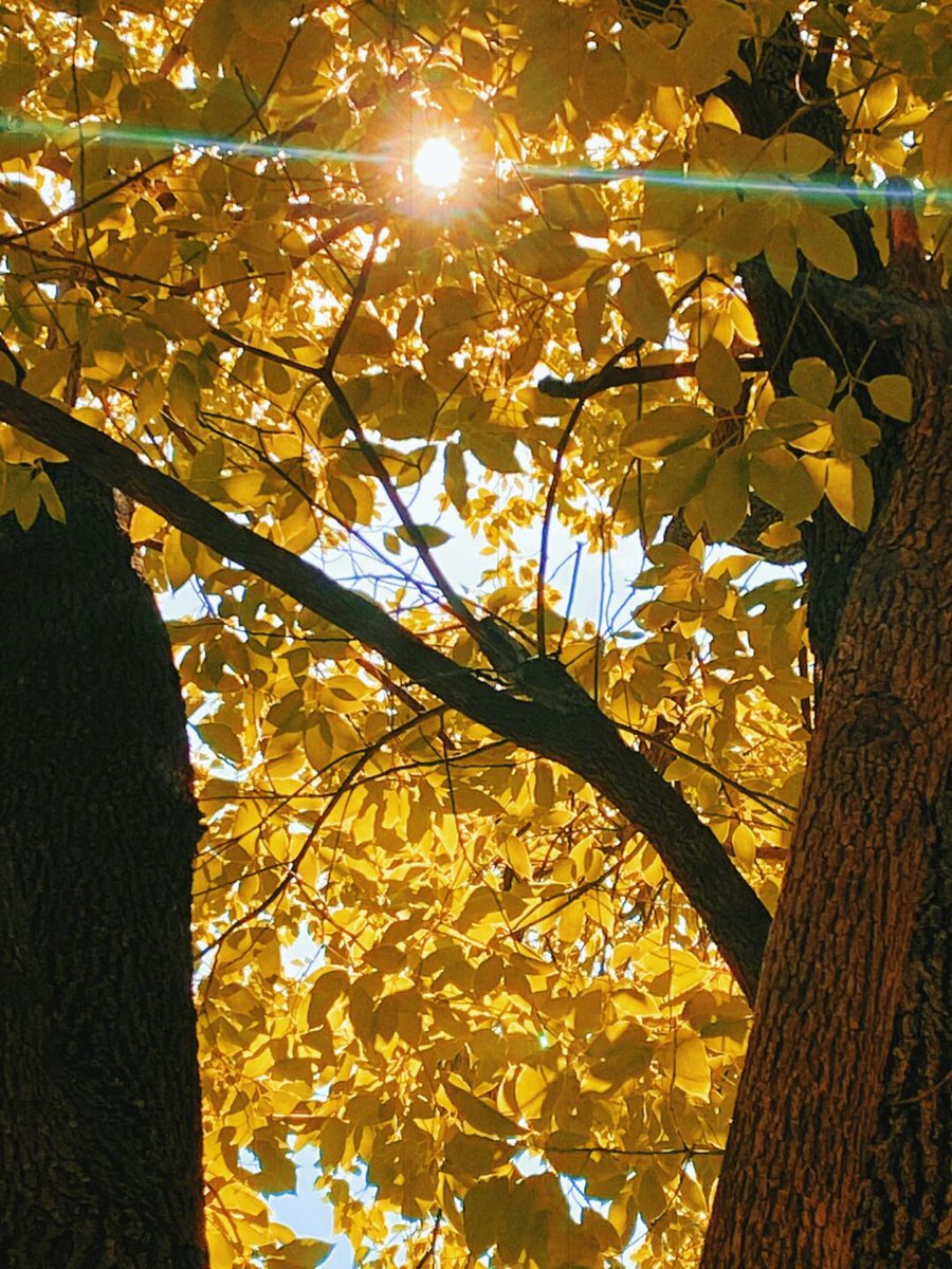 ildeu correa da silv tweet media