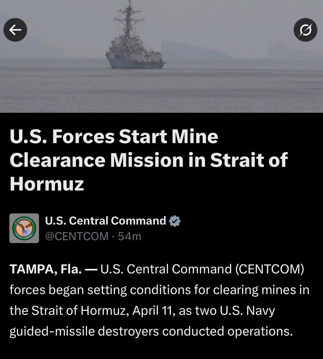 Nima. Monsefi. نیما منصفی tweet media