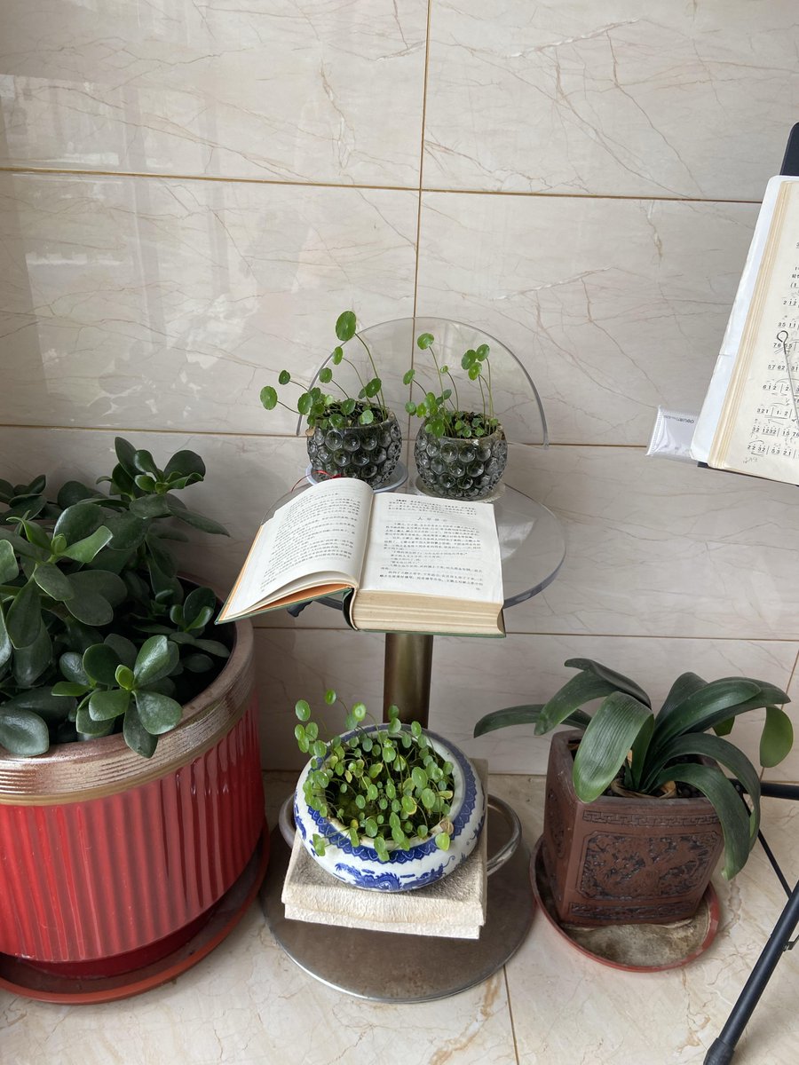 Donna Wright tweet media