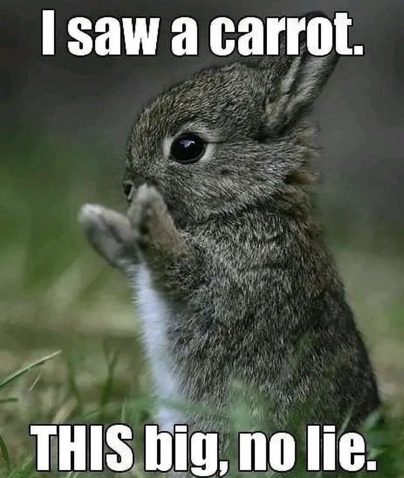 dalee^,^ tweet media