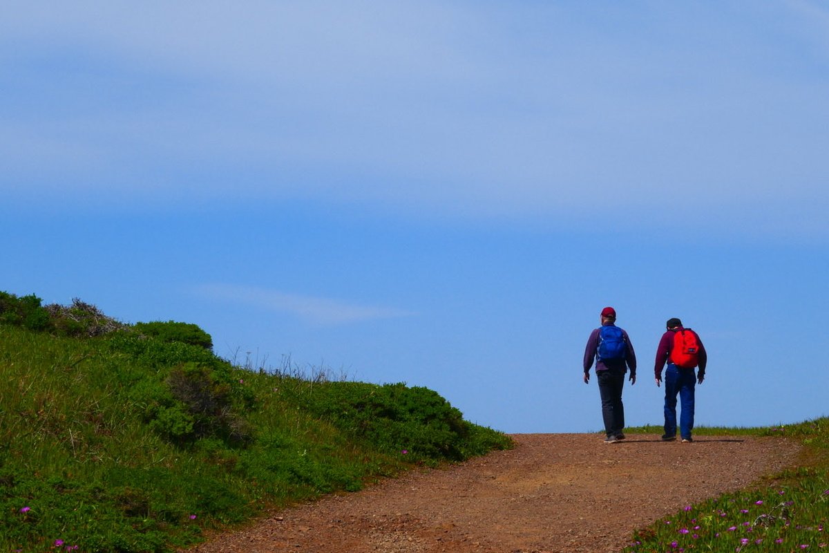Hiking Autism tweet media