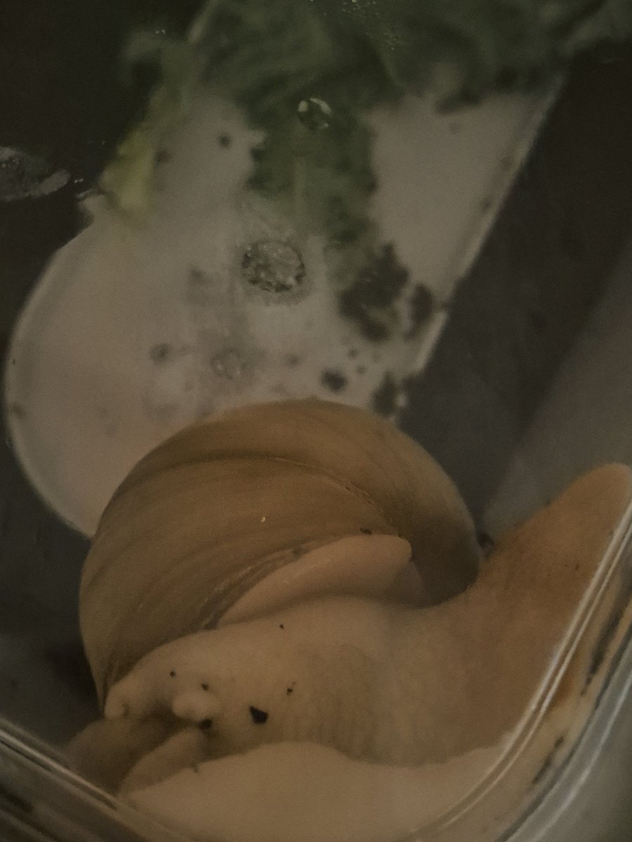 사이카와와 tweet media