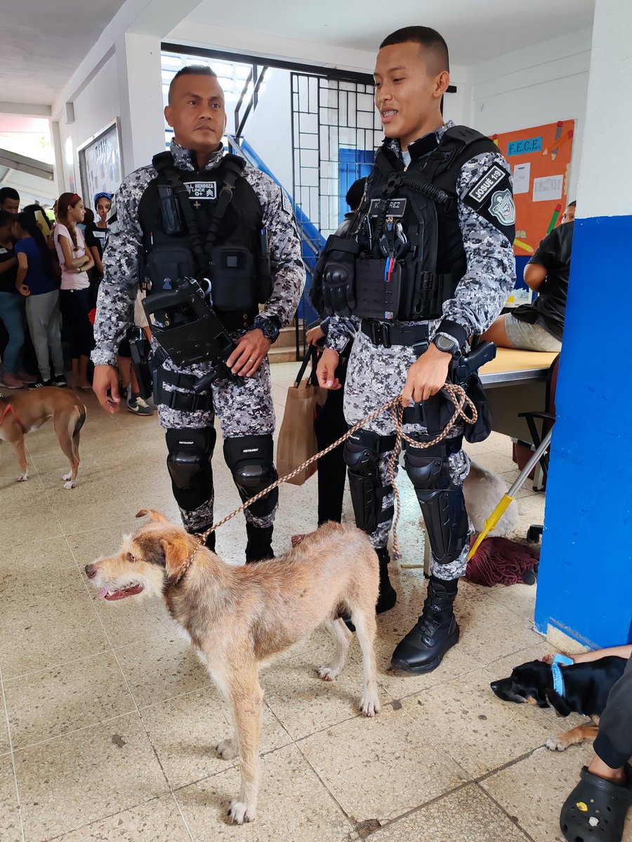 Spay Panama tweet media