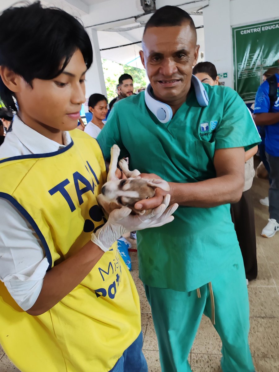 Spay Panama tweet media