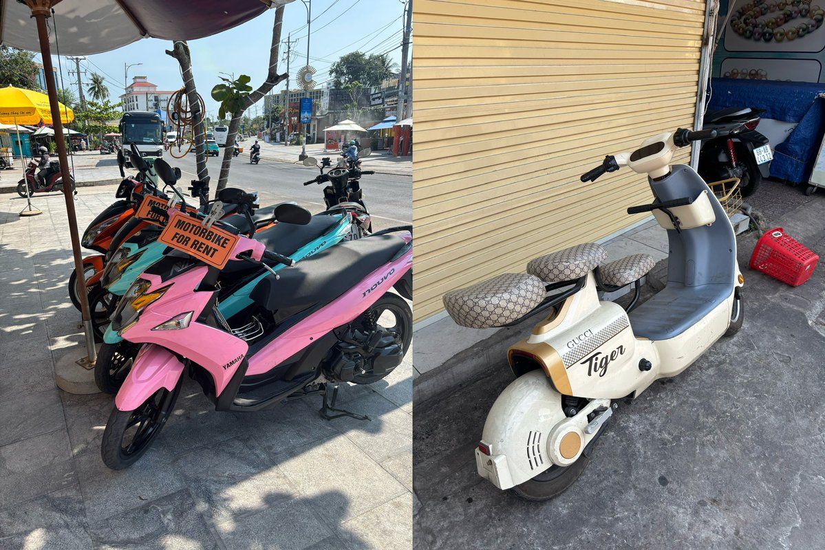 🍑🐸🦌🥫専業配達員🛵💨🐥 tweet media