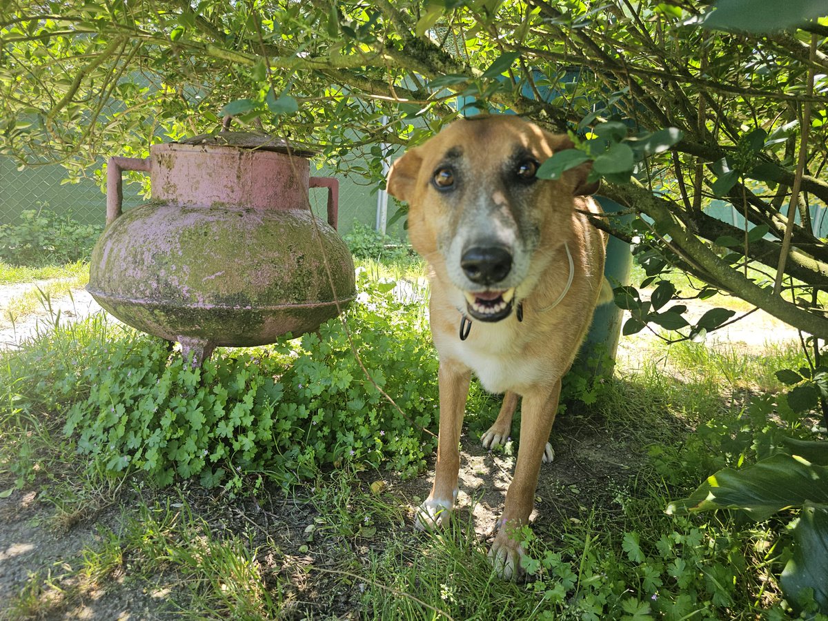 ᑭᏞᗩᑎᗴᎢᗩ Ꮓᗩᖇᑭᗩ tweet media