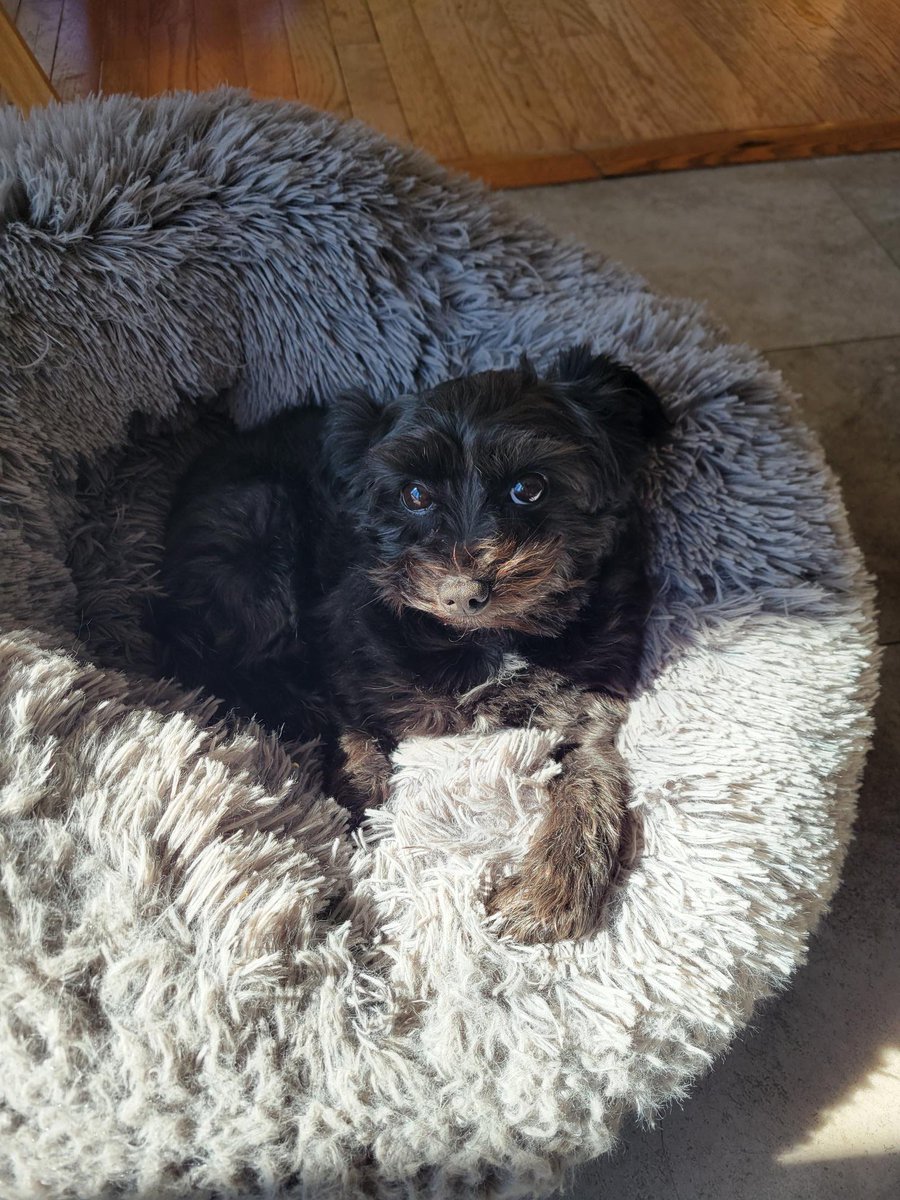 Julie Kubiak/Diamond tweet media