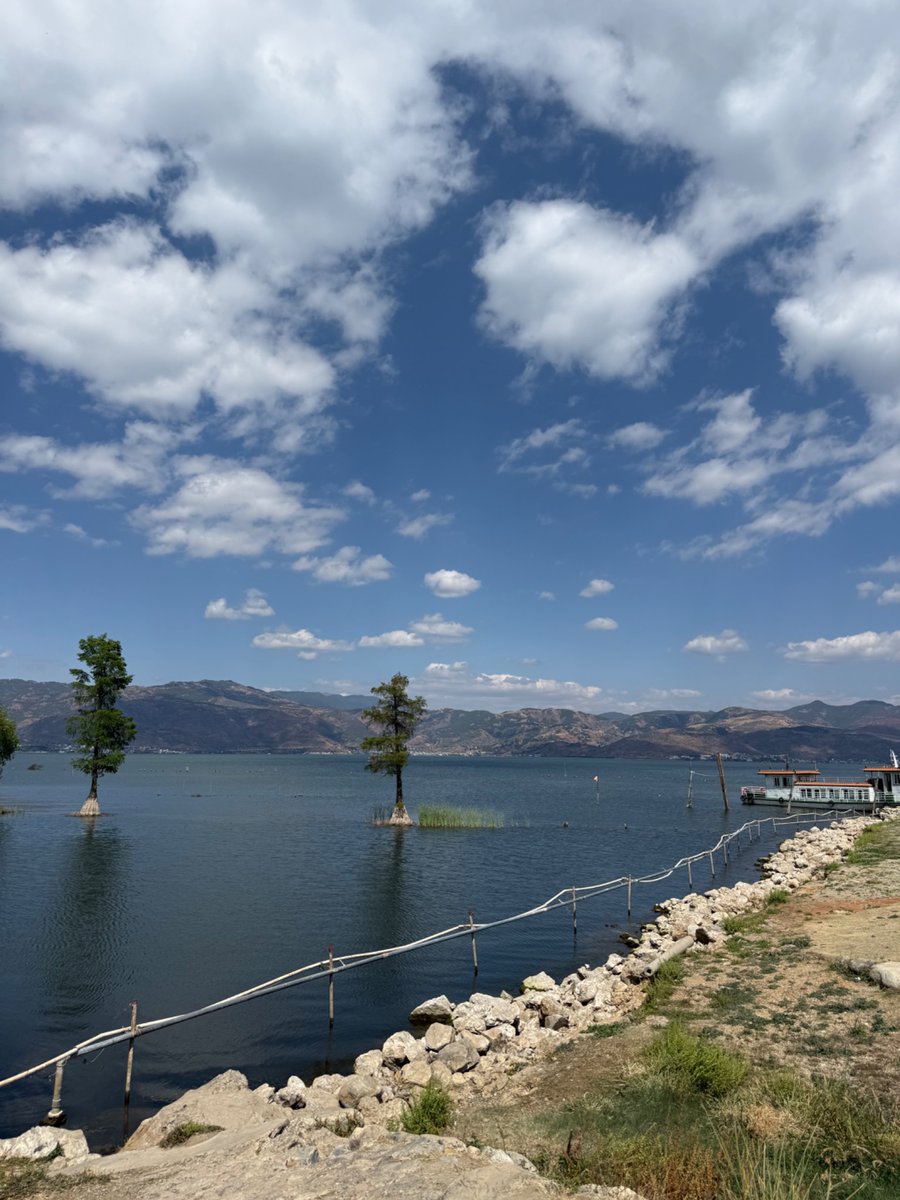 叮咬头皮屑 tweet media