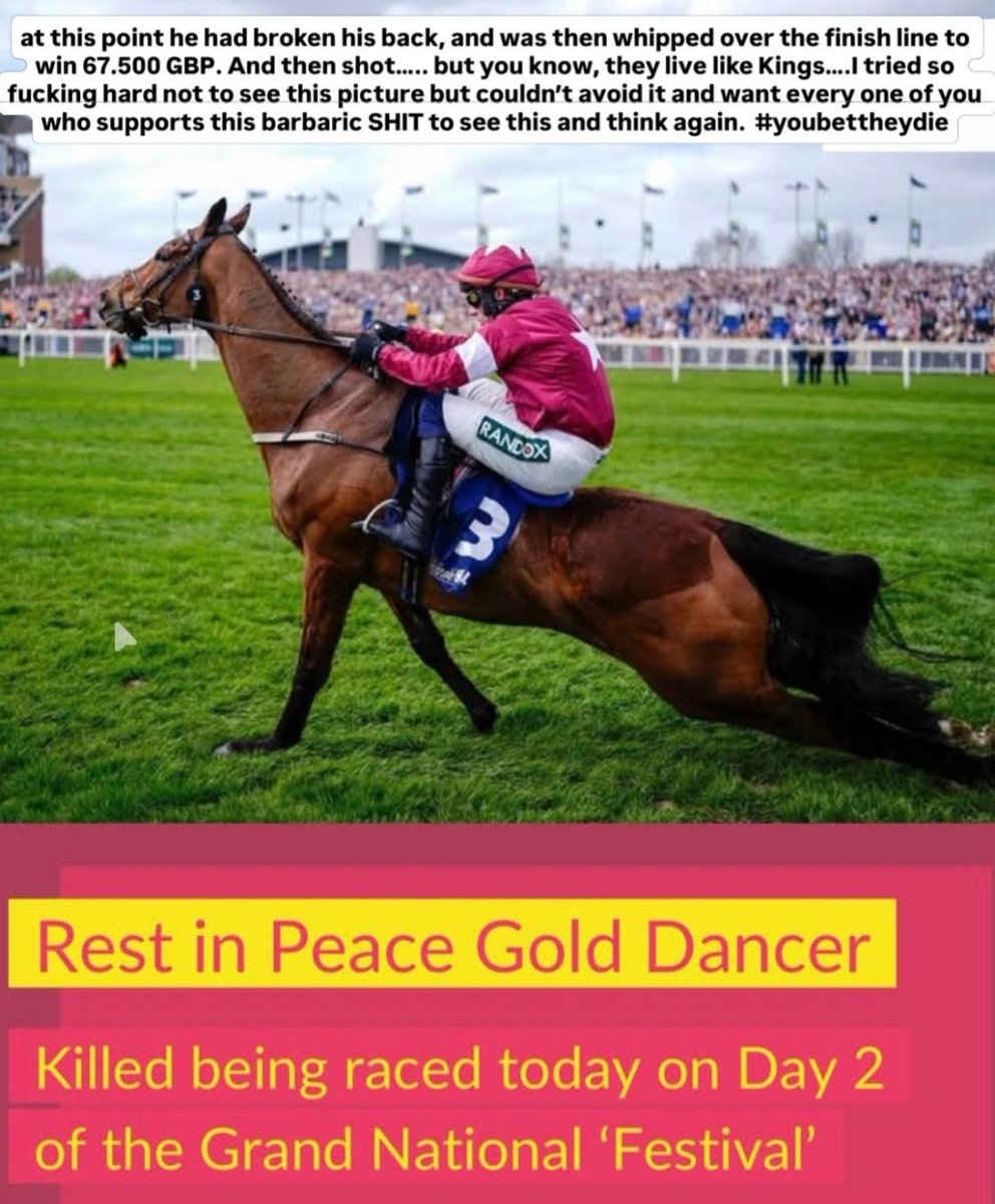 Henry Heysham-Westgate tweet media