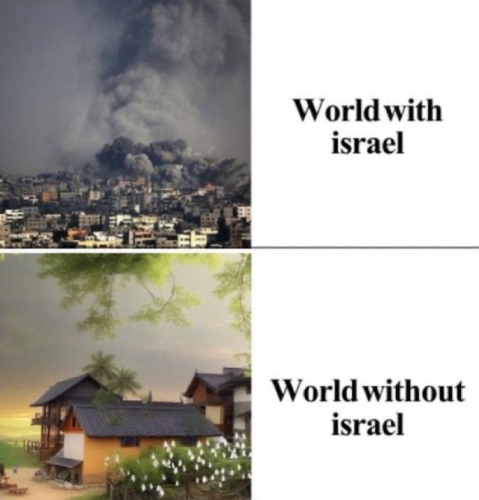 Alexander tweet media