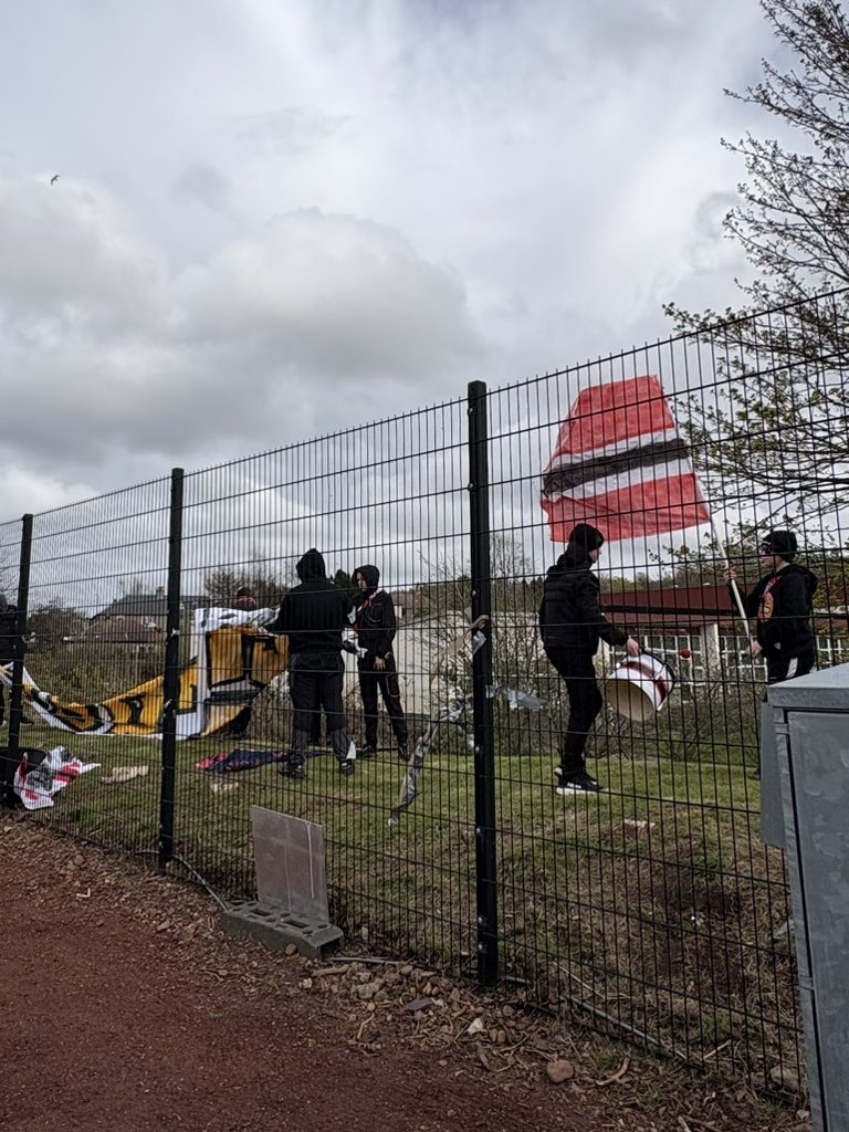 Colin McCredie tweet media