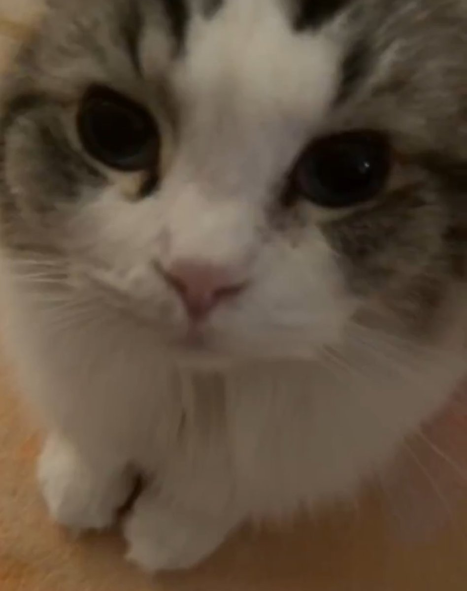 ⋆𐙚₊ a - narcissism ˚⊹♡ BOTHSIDES ดูอัพเดตปักหมุด tweet media