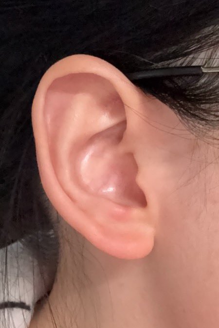 姐狗一体大虾 tweet media