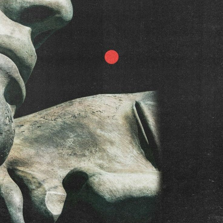 Guilherme José tweet media