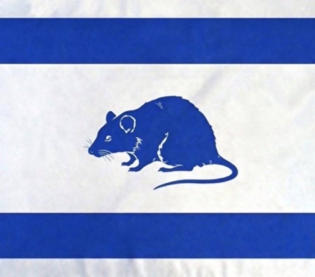 FatiHHappyY's tweet photo. @GabyLob @AssociatedFress La nueva bandera de israil https://t.co/vAwS69Jwoc