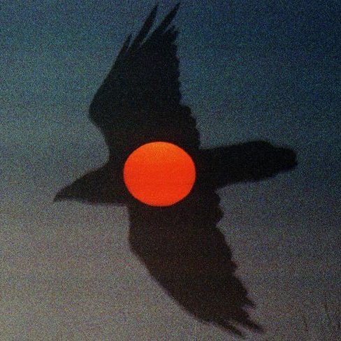 Guilherme José tweet media