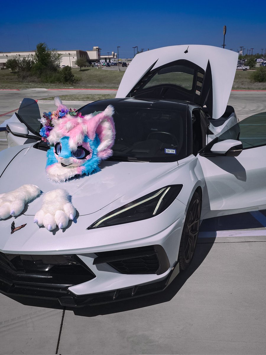 pawki ➡️ TFF tweet media