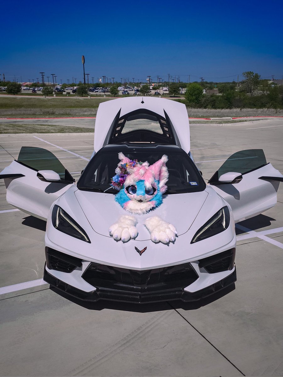 pawki ➡️ TFF tweet media