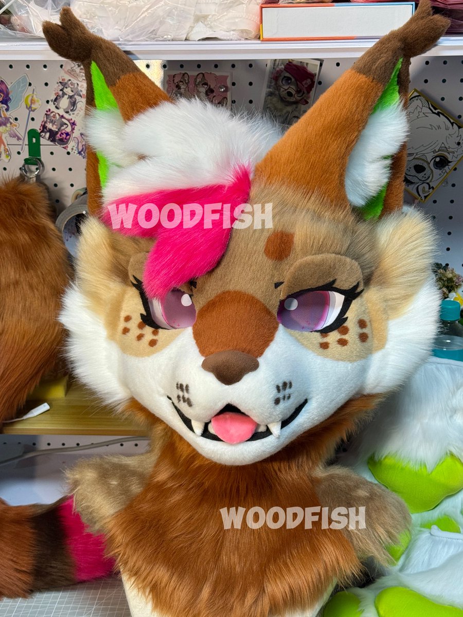 WOODFISH tweet media