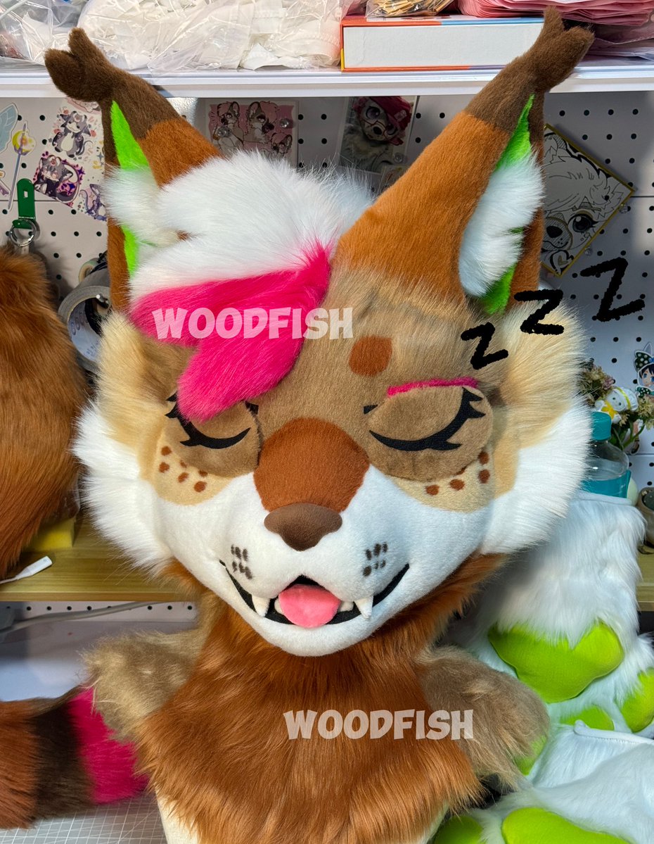 WOODFISH tweet media