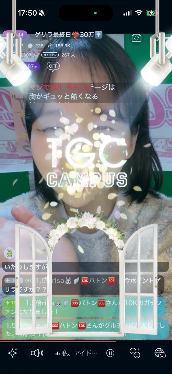 獣医の卵ちっぴ🐱AIと占い🔮 tweet media