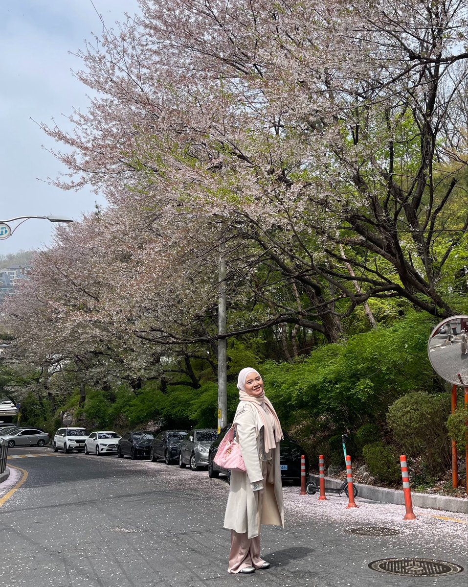 ansii 🐚🪷🌸 tweet media