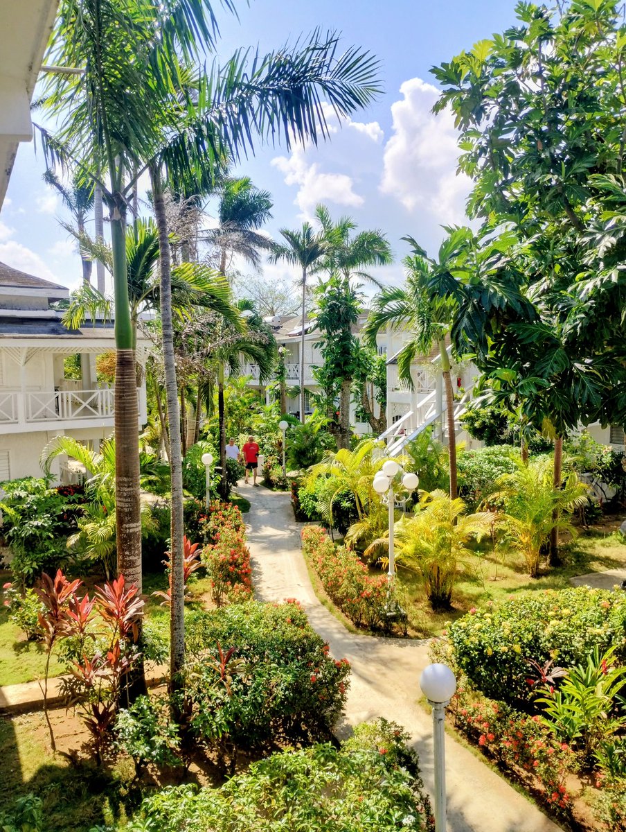 NolavA58918001's tweet image. Bevila perché 
È Tropicana yè 
#SpringBreak #Jamaica 🇯🇲