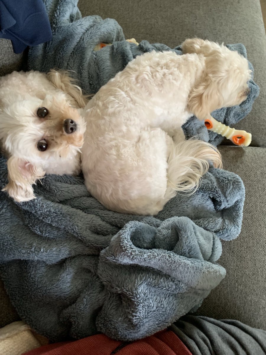 Brad Matlock tweet media