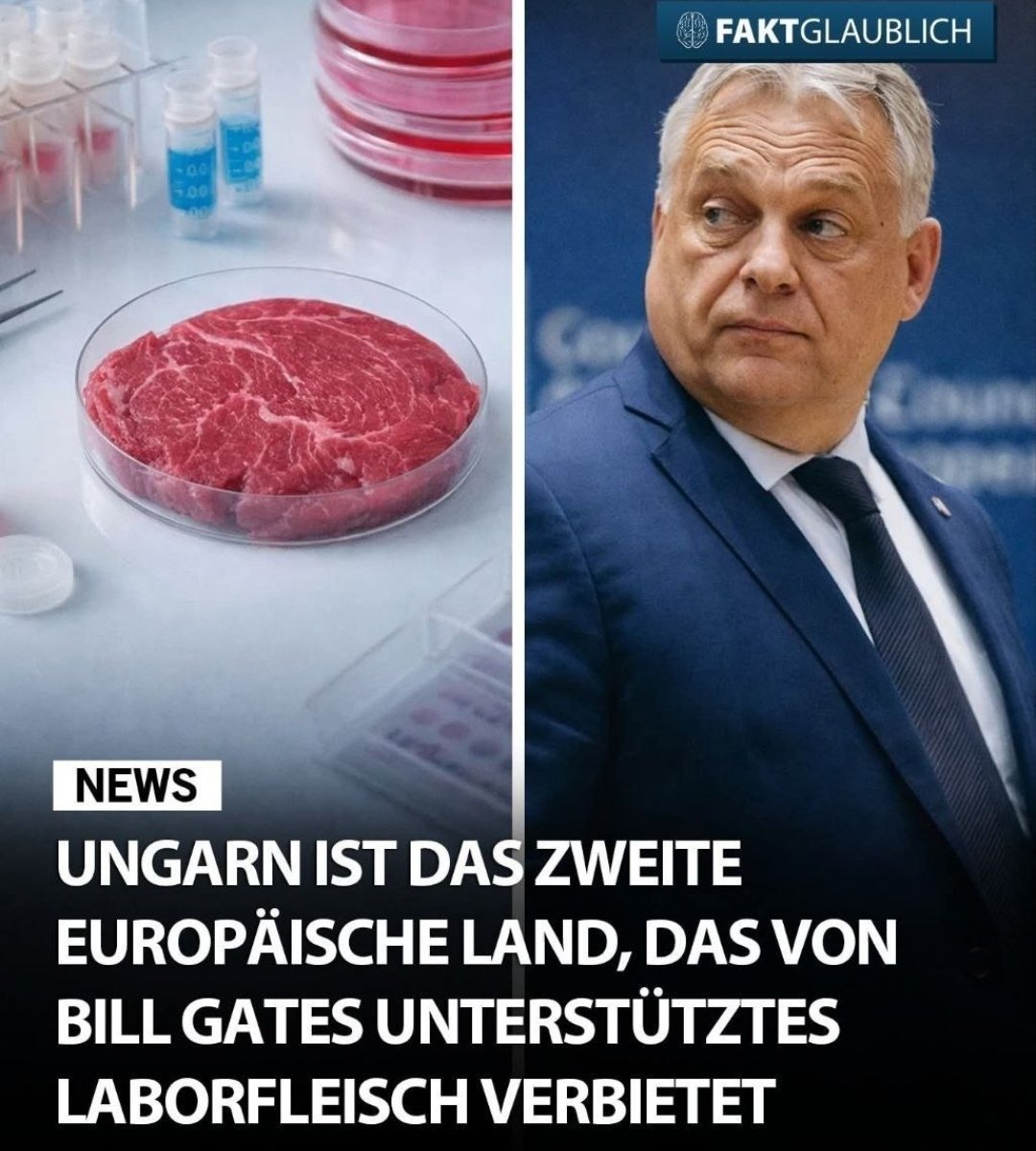 Fette Ratte tweet media