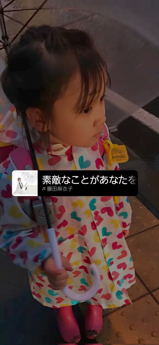iwaochan7's tweet photo. https://t.co/gYZYapGiCi