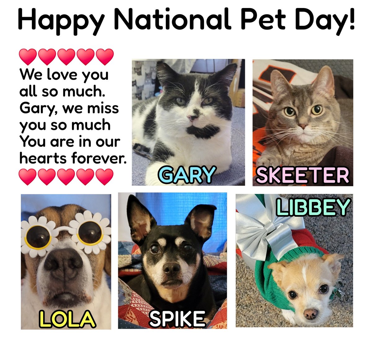 Sandy Brunswick tweet media