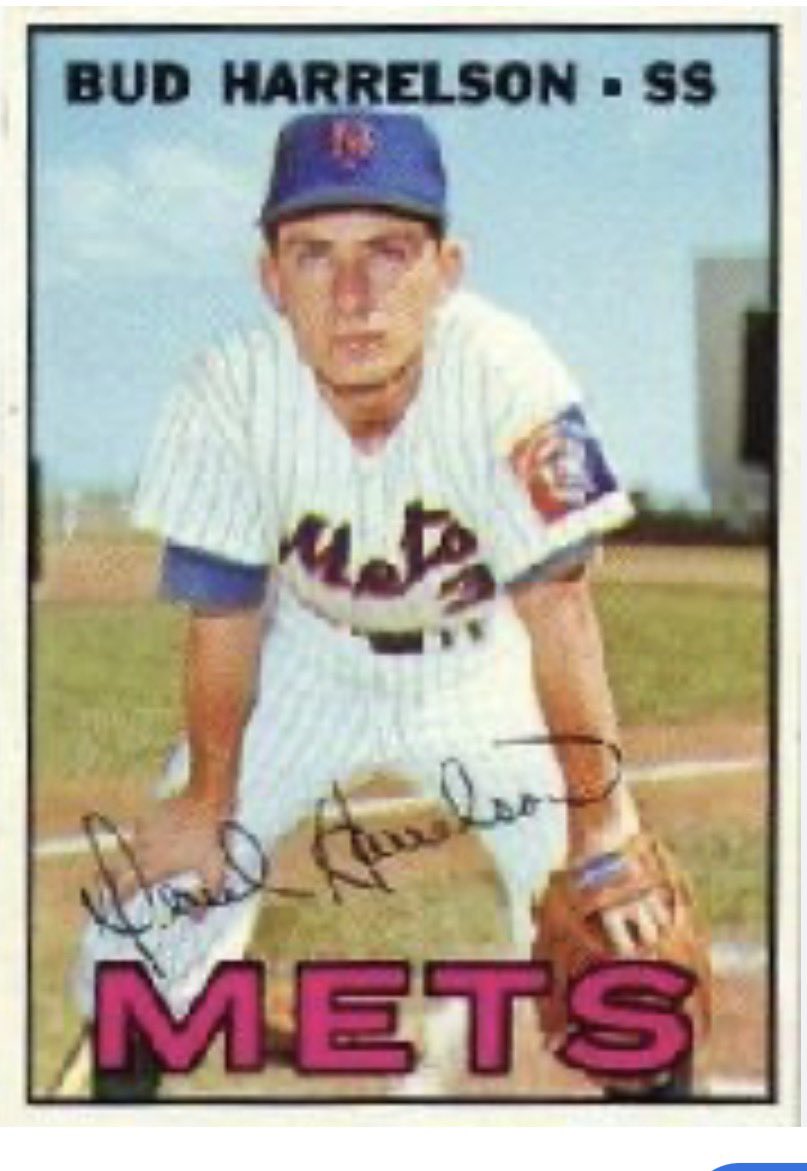 Honor The Cat tweet media